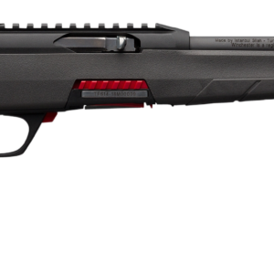 WGUN 521100102 WILDCAT SA 22LR 18 GRY