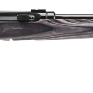 SAV 47006 A17 17HMR SEMI TRGT SPRTR LAM