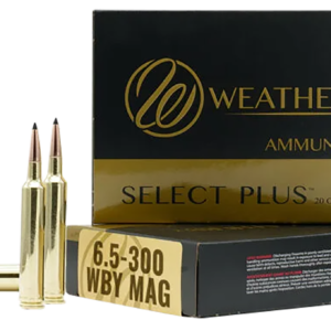 WTHBY F653130SCO 6.5-300 130 SCO 20/10