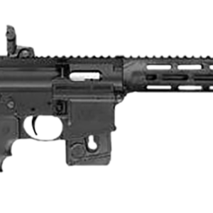 SWL*M&P15 SPT 10206 22LR *CO/CA* 16 10R BLK