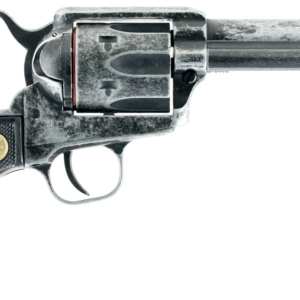 CHIA 340.089 1873 22LR 4.75 6R ANQ