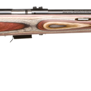 SAV 96770 93R17BRJ 17HMR