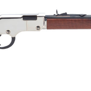 HENRY H004SV GOLDEN BOY SILVER 17HMR